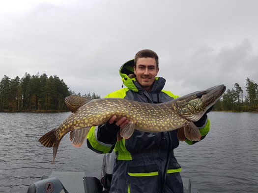 TFOS Fiskeguide och service