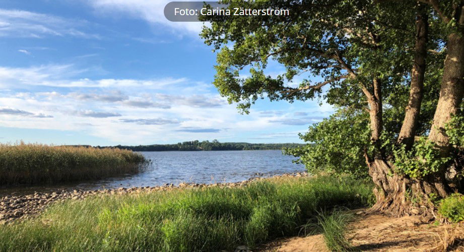 Västra Bosjöklosterhalvön, Naturreservat