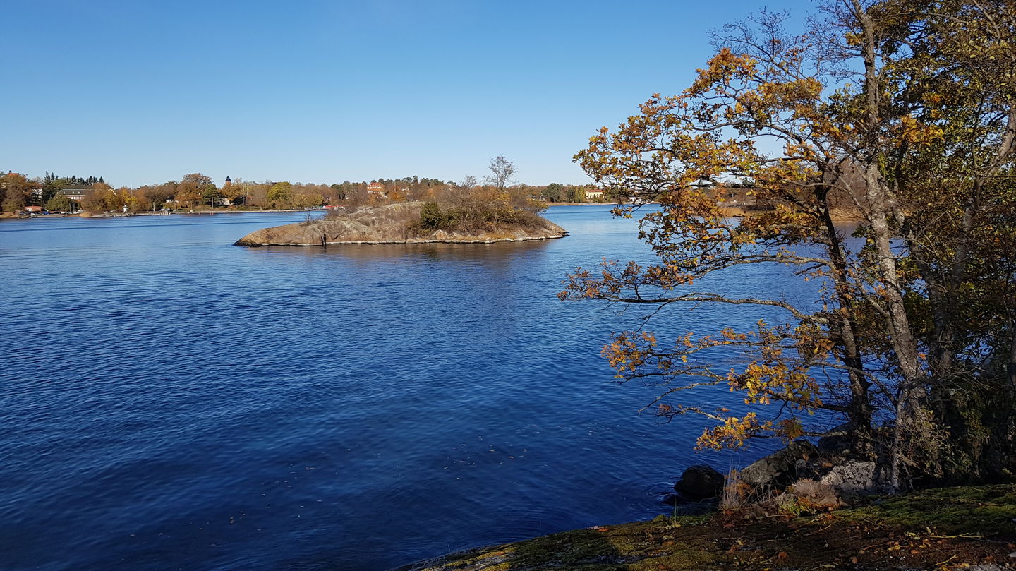 Utsikt mot Fogdholmen från Taheiti. Foto Lidingö stad