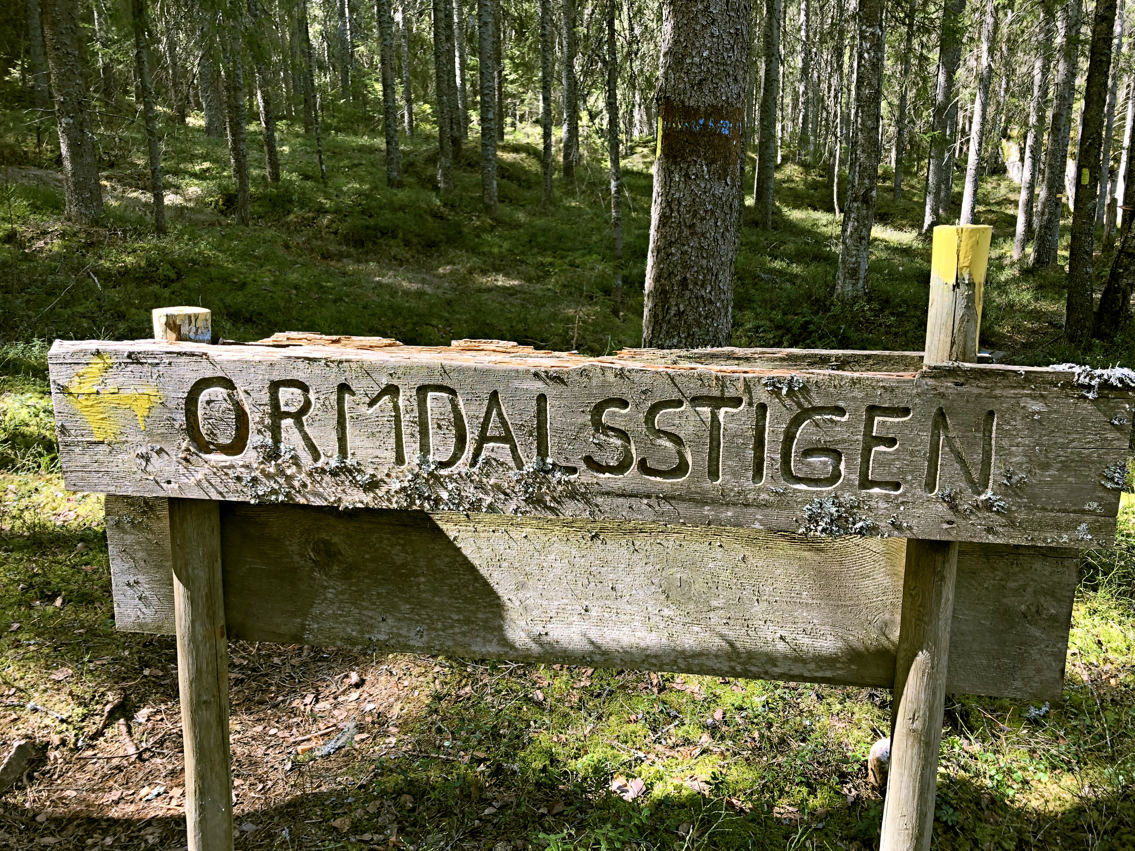 Tre generationer på vandring – följ med till Ormdalsslingan 