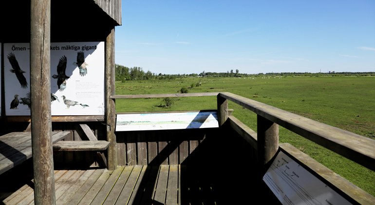 Fågeltorn och utemuseum på Åsums ängar.