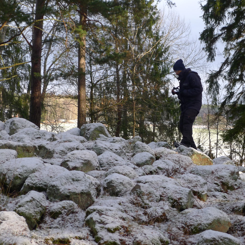 Bronsåldersröse