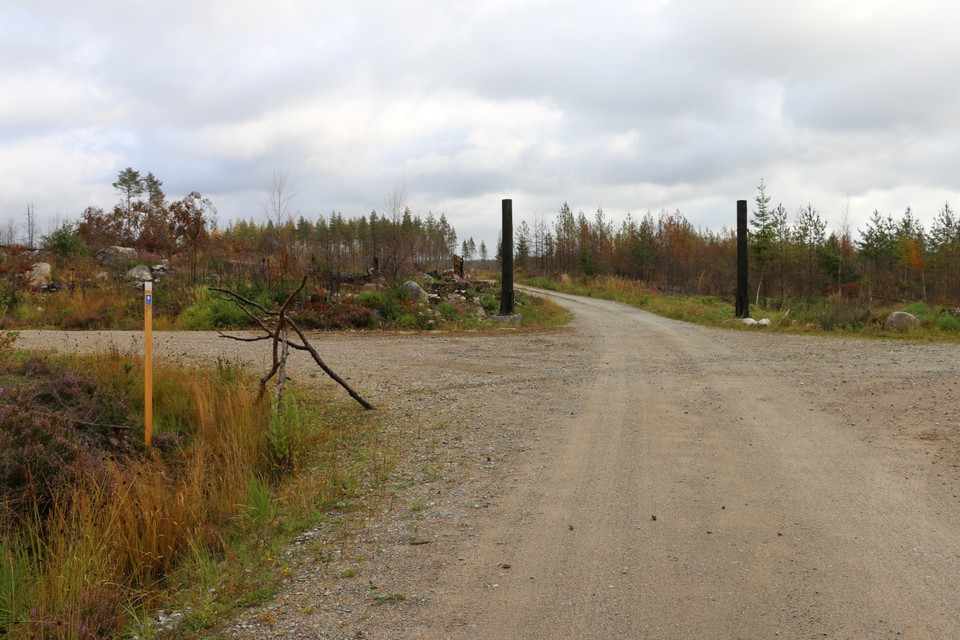 Fyrvägskorsning på grusväg. På var sida om vägen rakt fram står två brända trädstammar.
