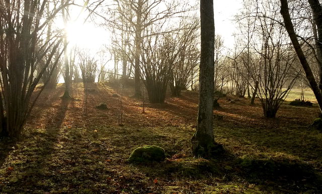 Hörningsnäs naturreservat