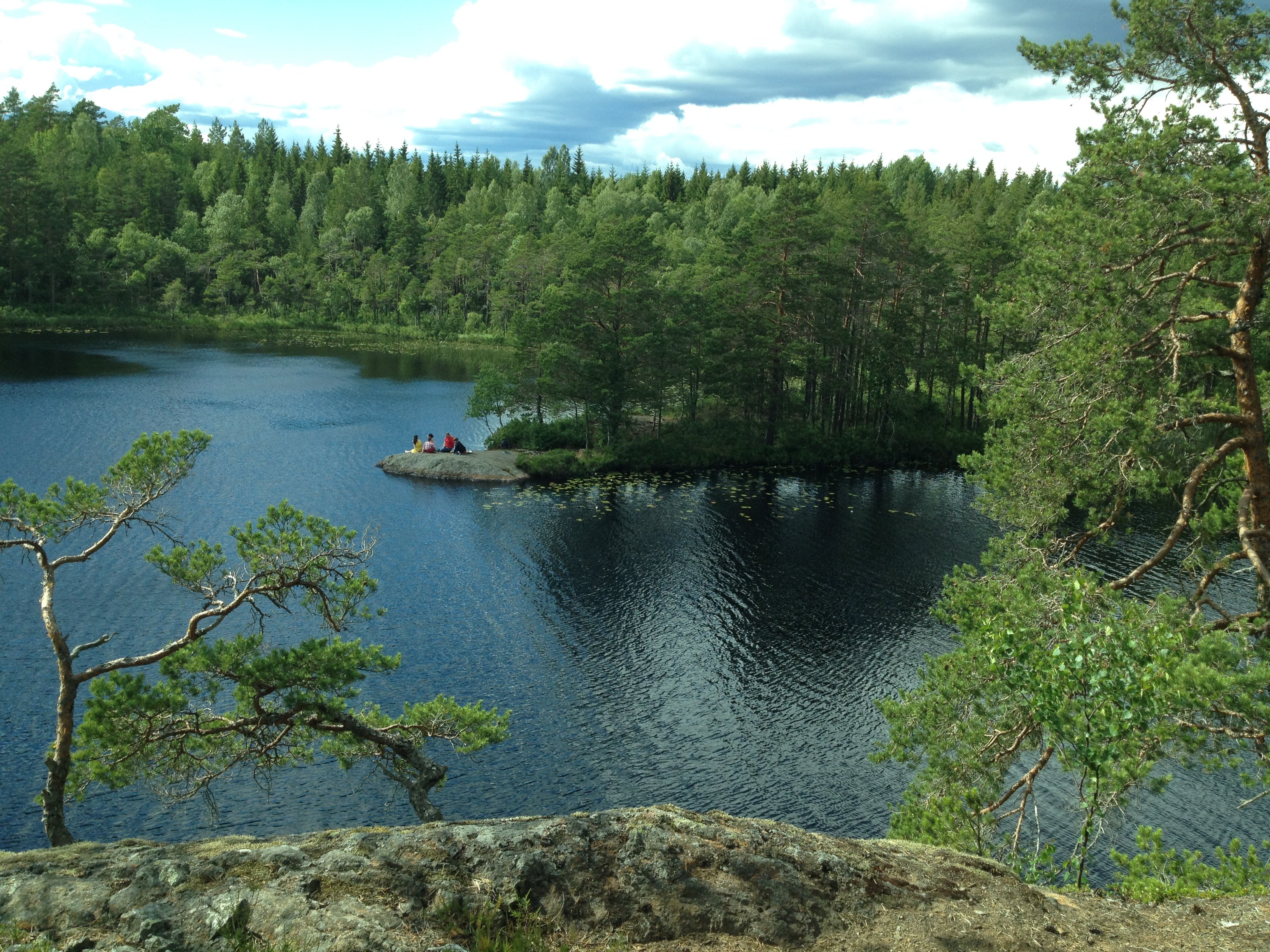 Utsikt i Stora Alsjöns naturreservat.