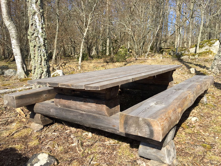 Träbord och träbänkar. I bakgrunden lövskog i vårsol.