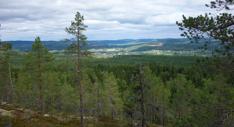 Utsikt från Storklocken.