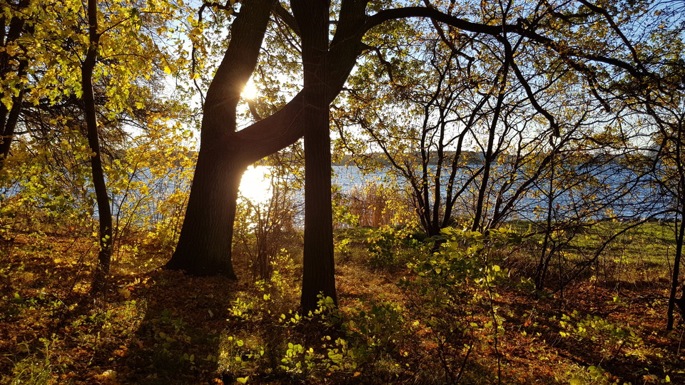 Kappsta. Foto Lidingö stad