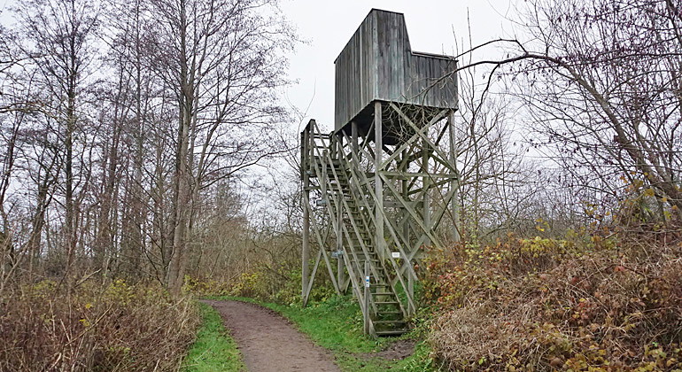 Fågeltorn.