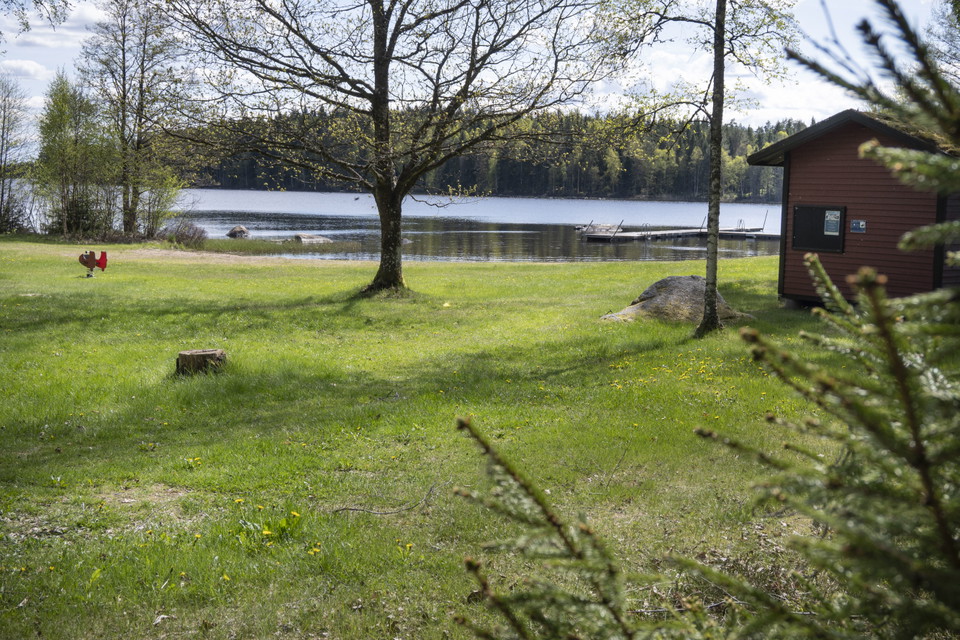 Gräs och lövträd, sjö och bryggor.