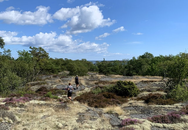 Långviksskär runt