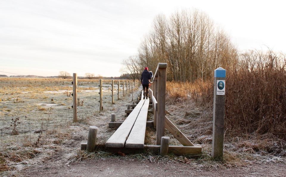 En smal spång med ett handräcke löper längs med en stängslad hage. I början av spången står en låg stolpe med markering för Linnéstigen.