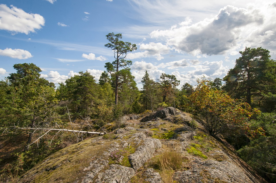 Foto: Johan Pontén