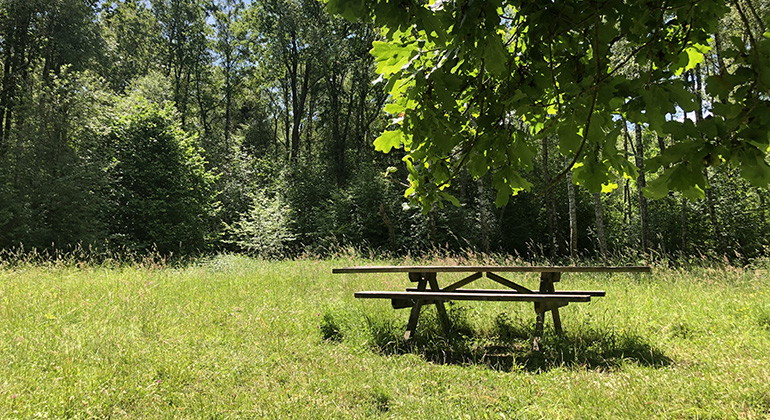 Rastplats.