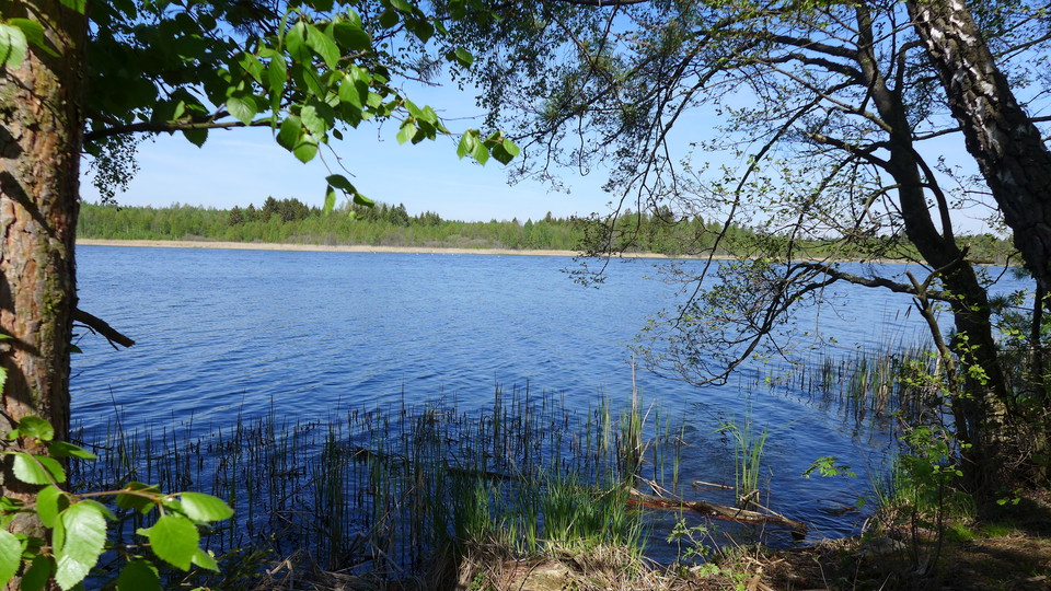 Fridfullt blått och grönt