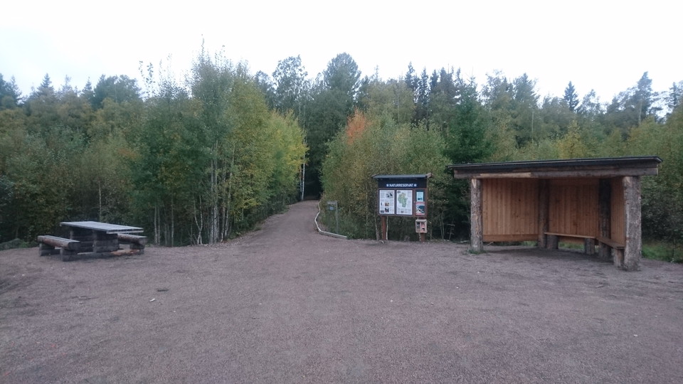 Starten för den blå leden