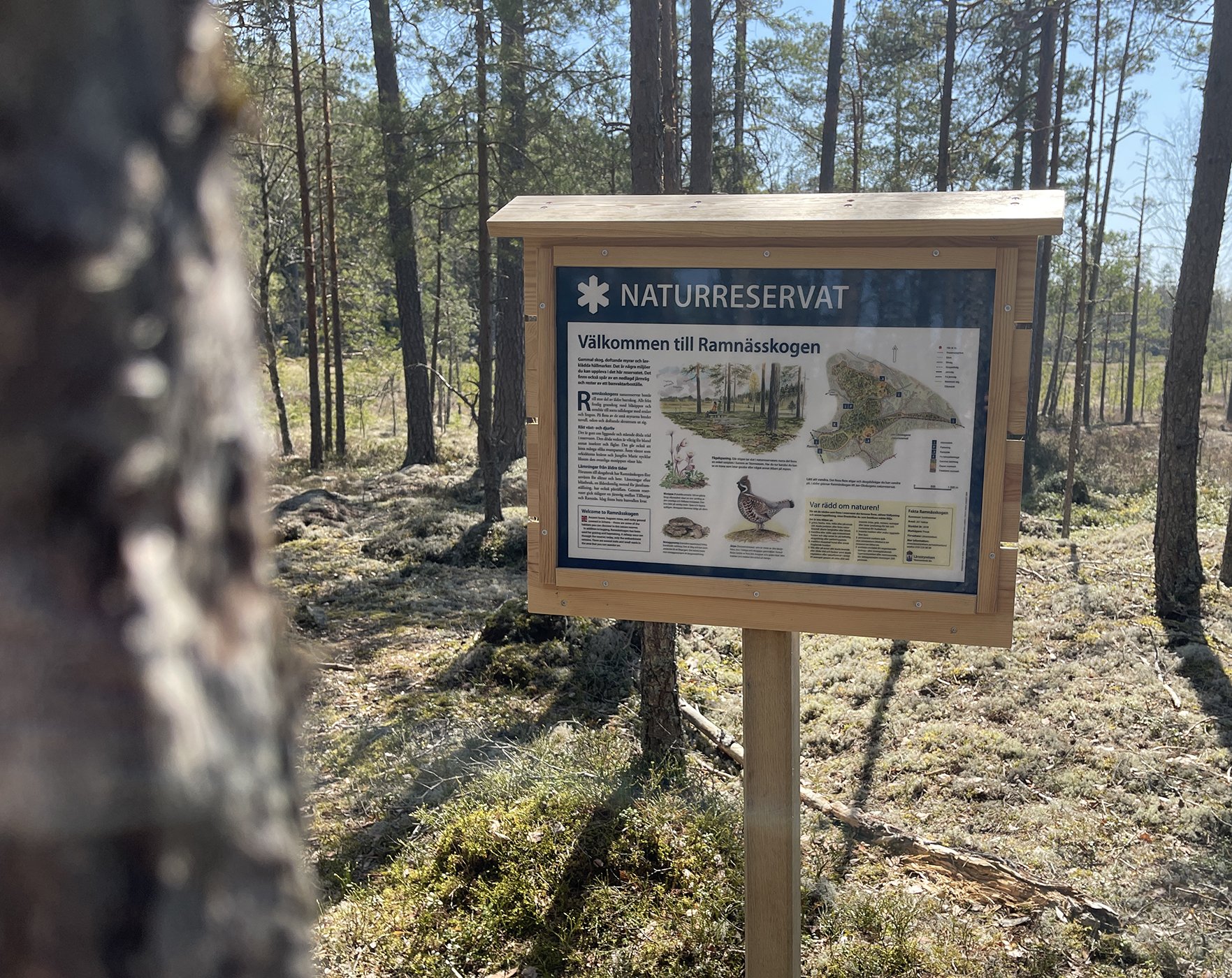 Informationstavla, Ramnässkogen