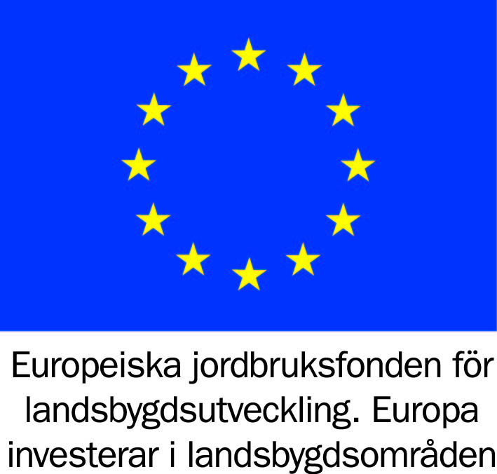 Romboleden ska rustas!