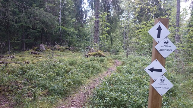 Ekeberg Mountain bike track: Violpistol