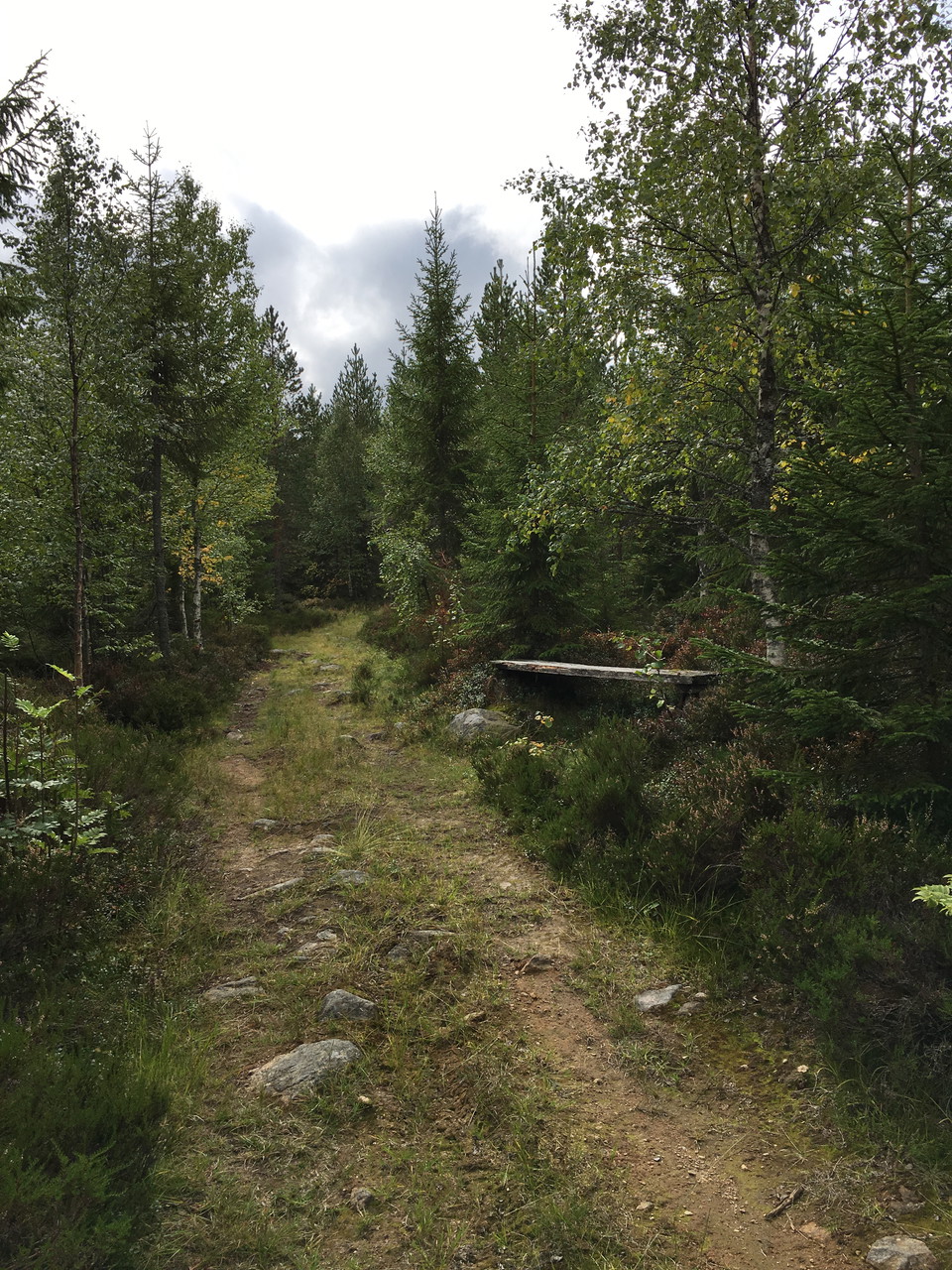 Längs stigen till toppen finns möjlighet att vila benen.