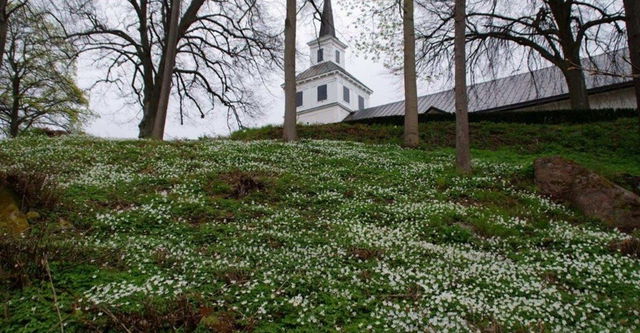 Blåviks - Sundsudden