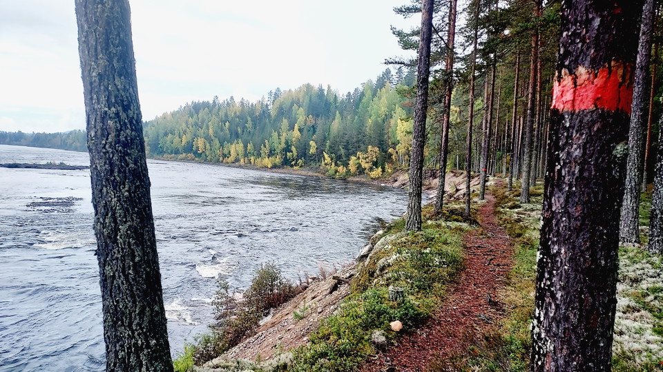 Flottarstigen vid Kölströmmen