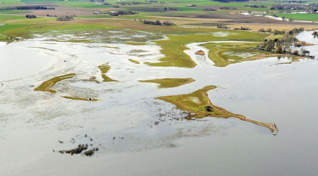 Svartåmynningens naturreservat