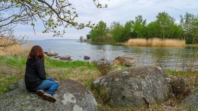 Hägerkoloni Tromtö naturreservat Tummaholmen