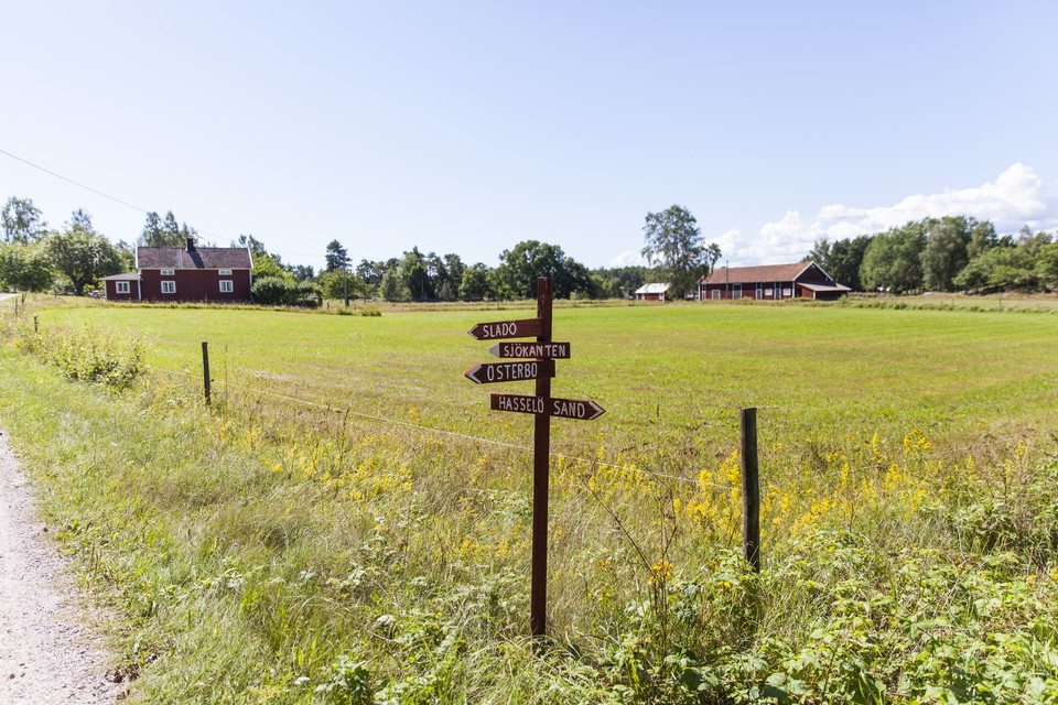 Tre härliga vandringar för barnfamiljen