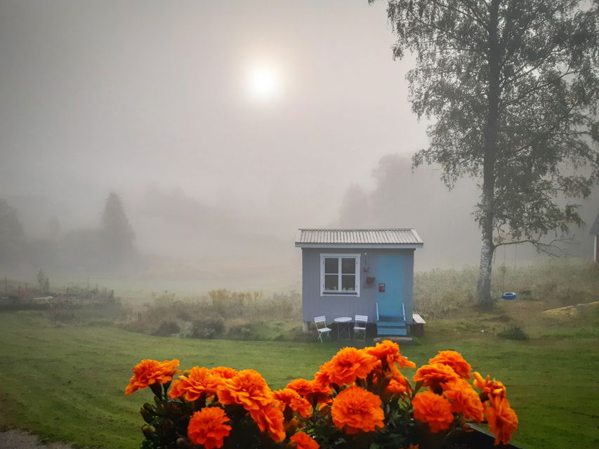 Liten blå stuiga i trädgård