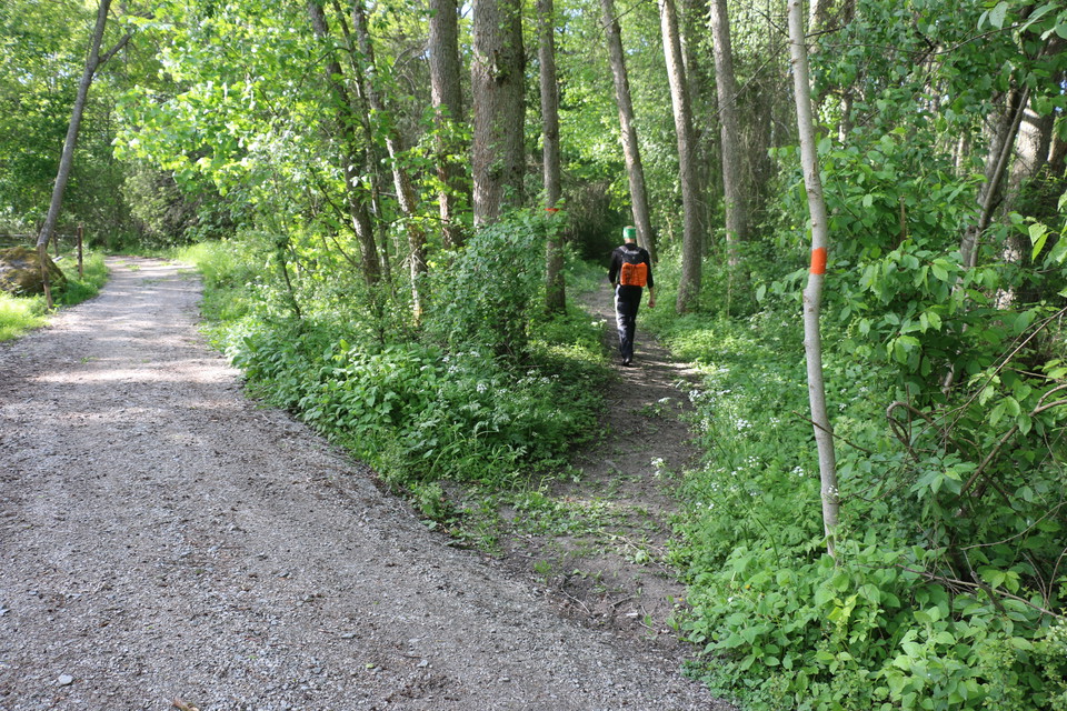 En person med ryggsäck går på en stig i skogen med orange ledmarkering. Stigen går in i skogen från en grusväg.