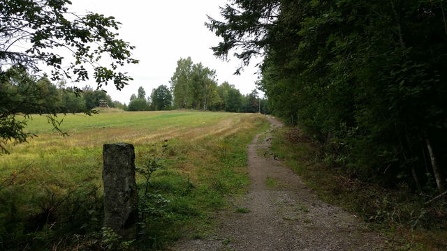 Skärvet-Feretspåret