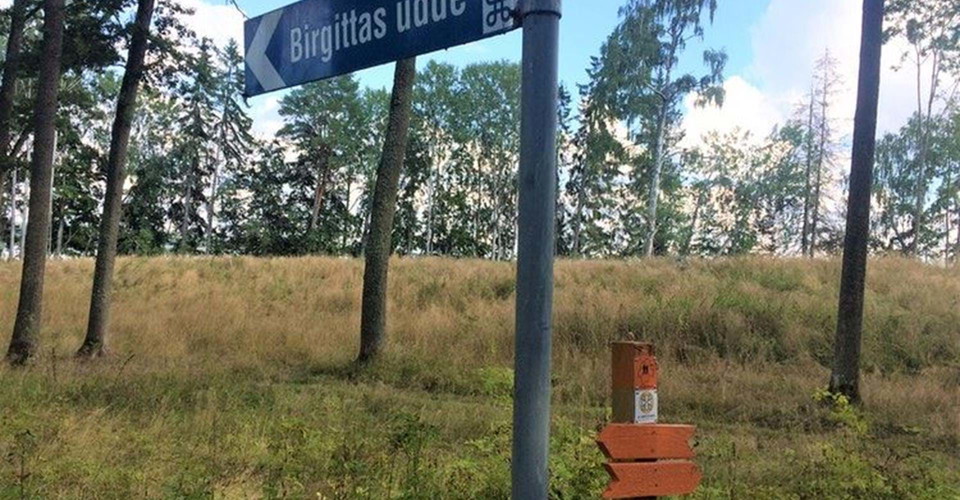Mot Birgittas Udde.  
Etapp: Motala till Borenberg
Motala