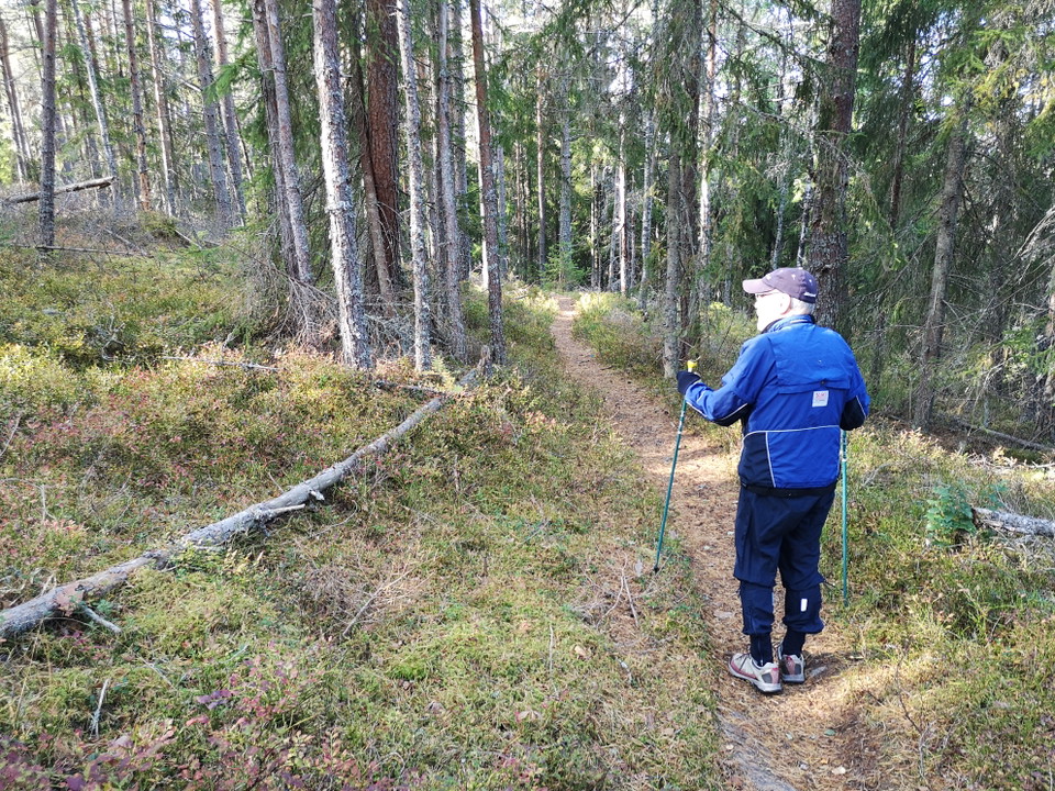 Längs med leden