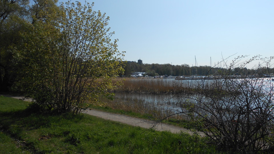 Inre Kyrkviken passeras efter 8 km i Lidingöloppet. Foto Lidingö stad