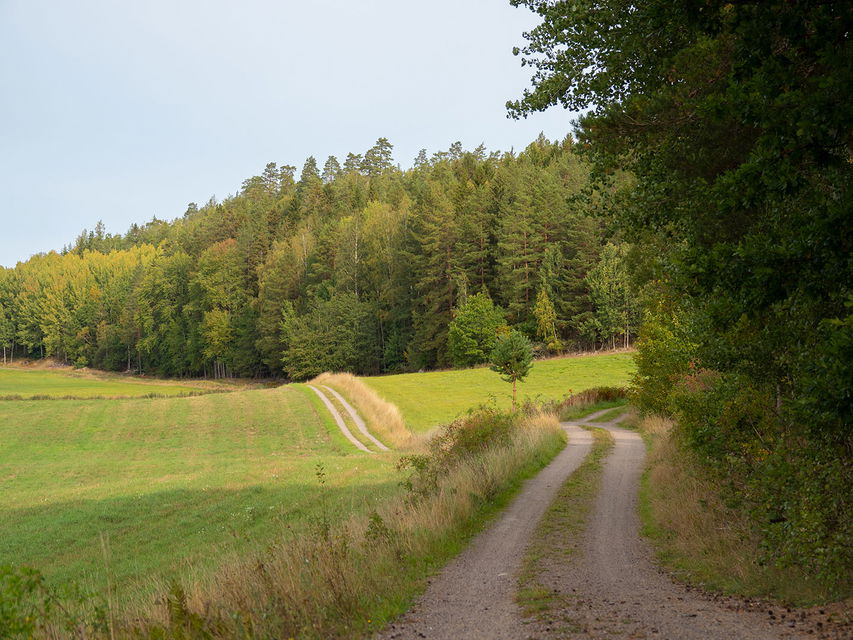 Natursköna grusvägar omgiven av skog.