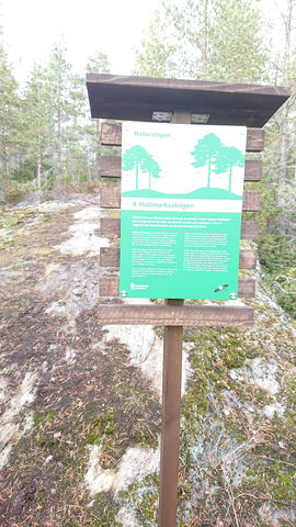 Södra Bergets naturstig 8 Hällmarkstallskogen