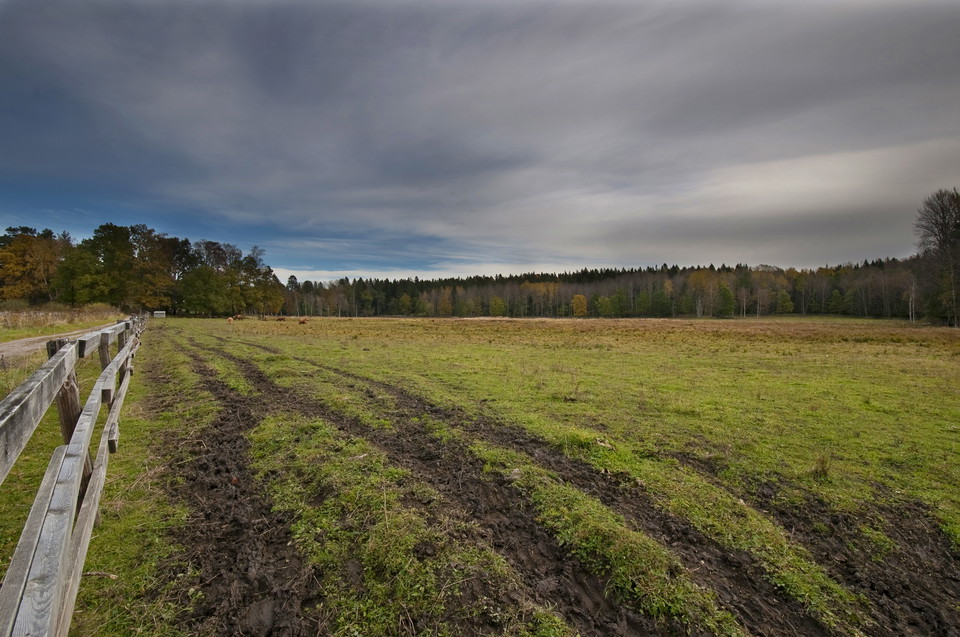 Väsby sjöäng