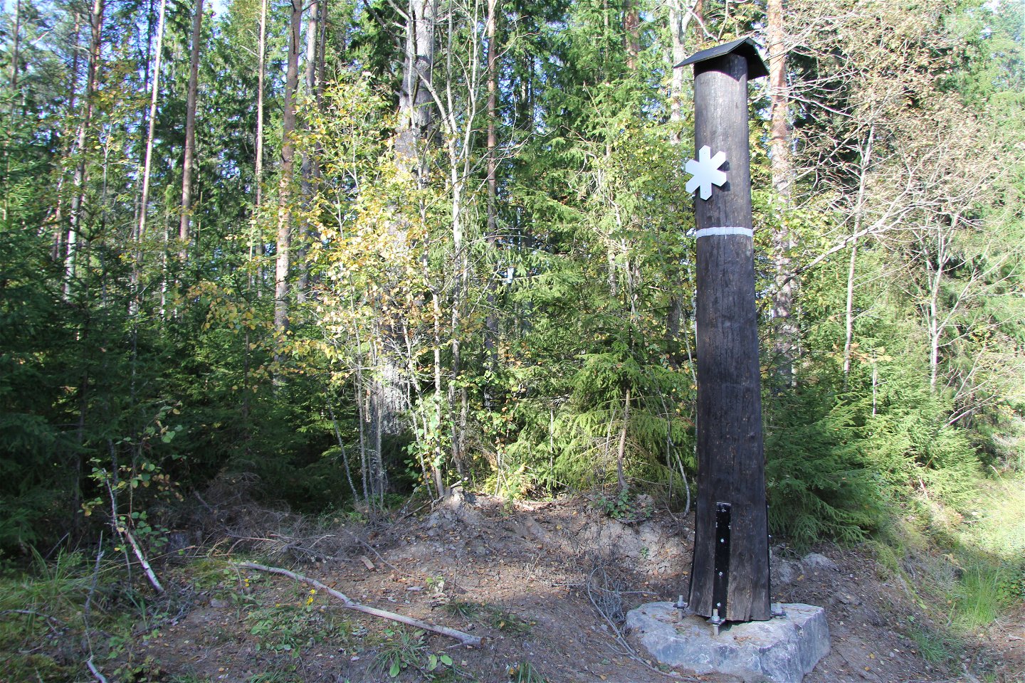Trädstam med vit markering som visar symbolen för naturreservat.