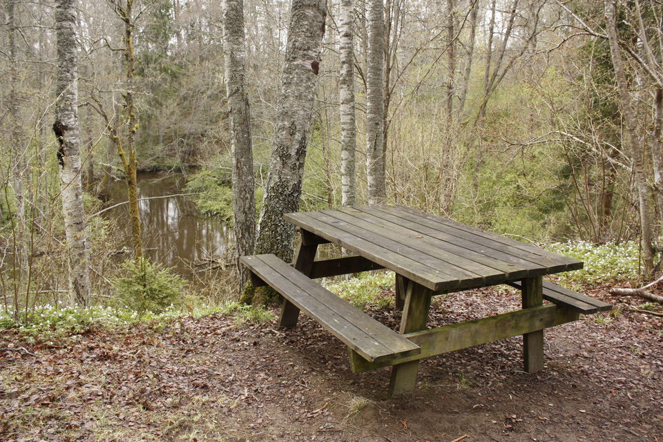 Ett bänkbord står på en höjd vid ett vattendrag i skogen. Bortanför rastplatsen lutar marken brant nedåt. 