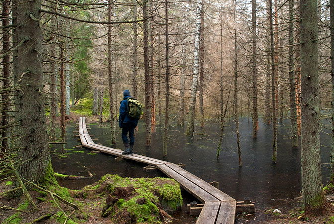 Norra Lunsen — Naturkartan