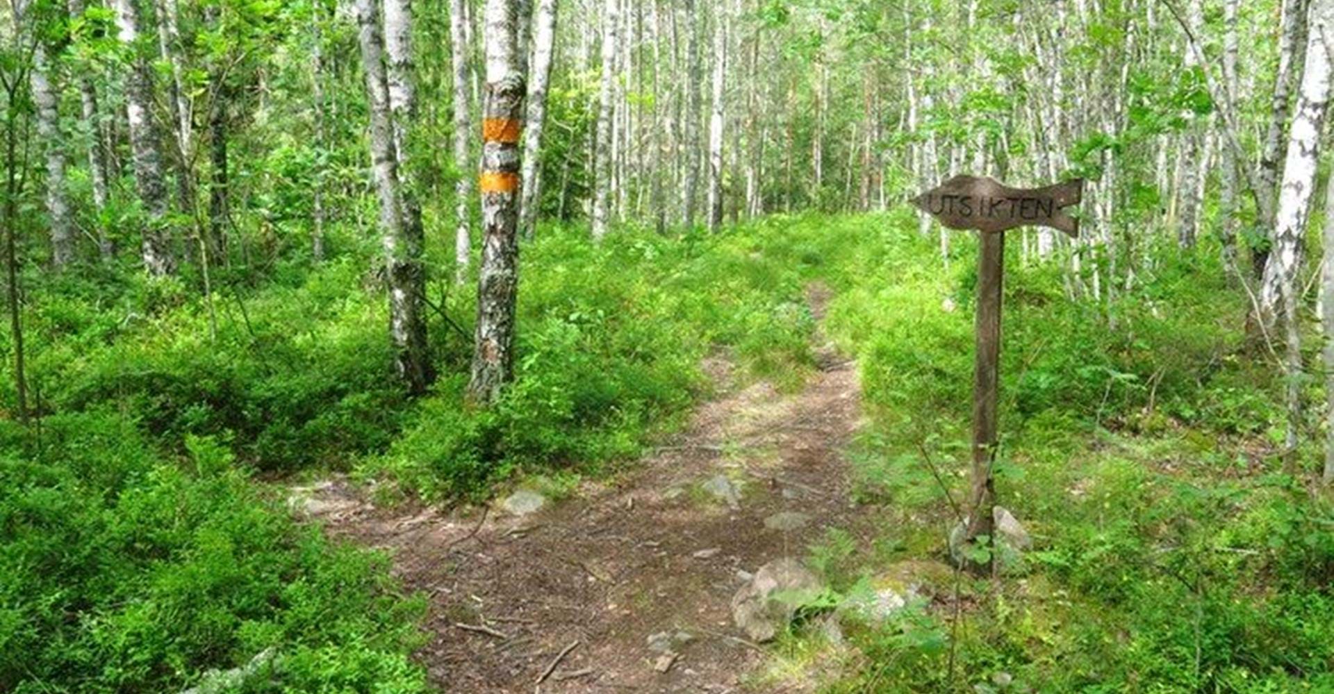Utsiktsplats från Borgberget
Etapp: Borgbergsleden, rundslinga. 
Söderköping