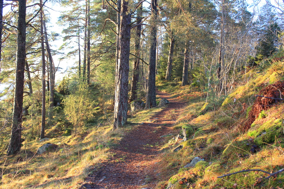 Stigen är bred och välanvänd.