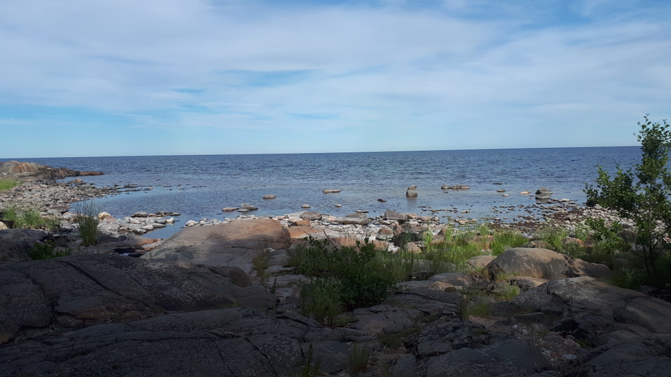 Tullviksbäckens mynning 