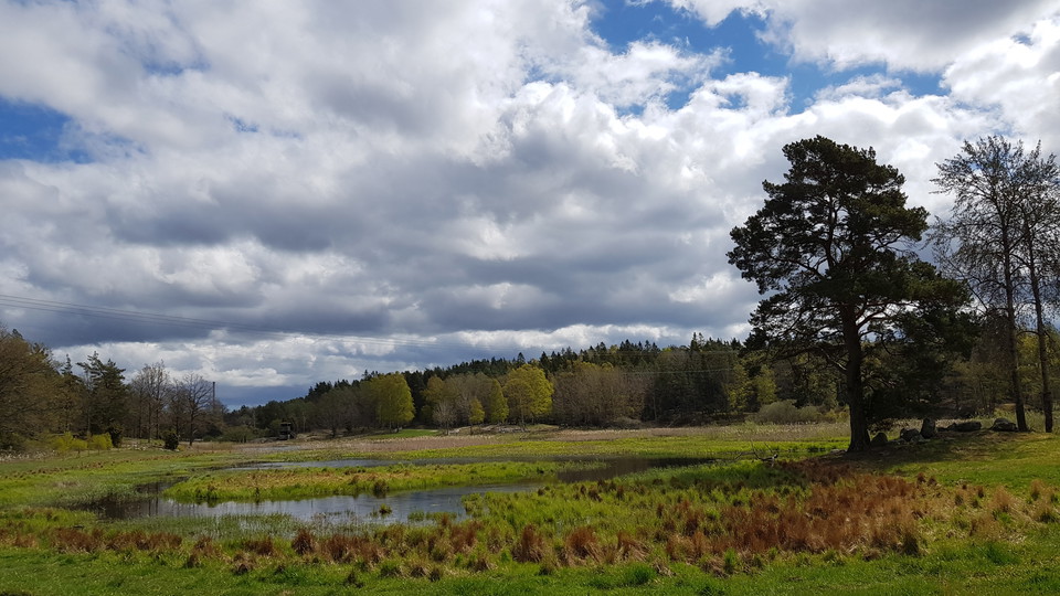 Västra Långängskärret. Foto Lidingö stad