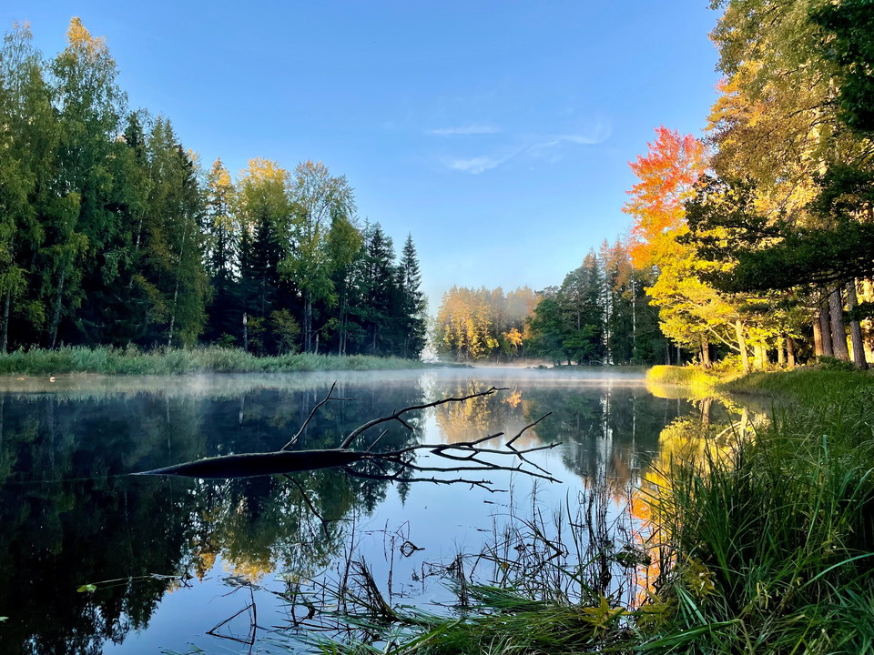 Motiv: Utsikt i Färnebofjärdens nationalpark. 