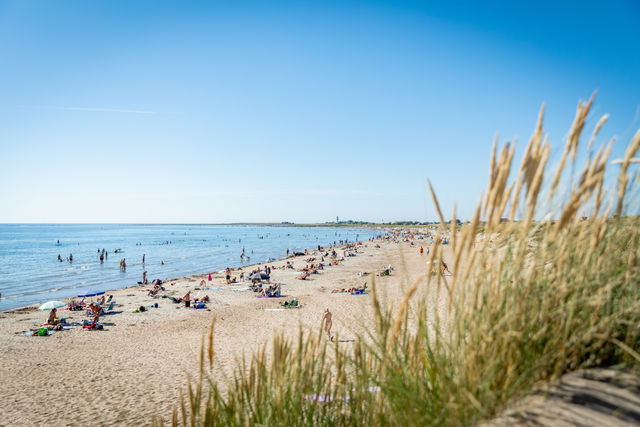 Beach, Olofsbo