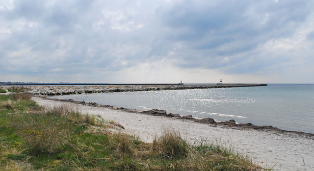 Ljungskogens o Ljunghusens strandbad, Naturreservat