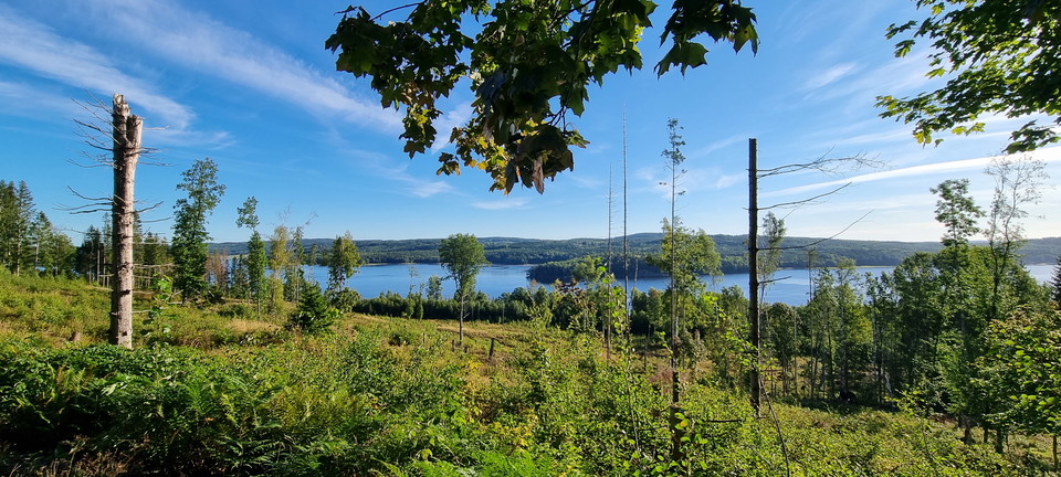 Utiskt över sjö från höjd, skog i horisonten. 