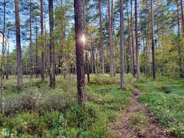 John Bauerleden etapp JB2 Råbyskogen - Bunn - En del av Smålandsleden